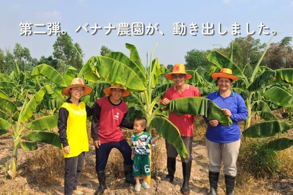 バナナ苗の搬入と植え付け準備（2026年5月23日） - CAMPFIRE (キャンプ
