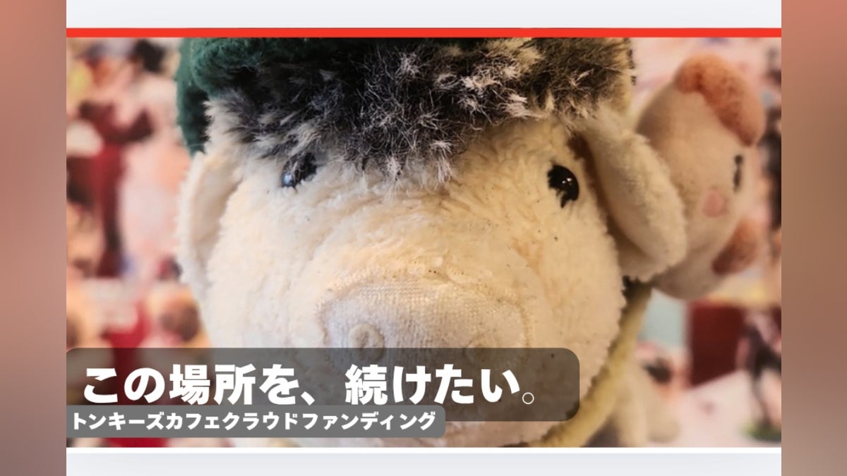 ぬいぐるみ好き交流カフェ トンキーズカフェ存続プロジェクト ぬいぐるみ好き交流カフェ トンキーズカフェ存続プロジェクト