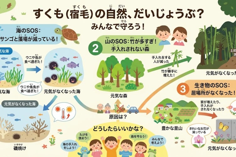 100年後の海を守る。宿毛の放置竹林を「未来の資源」へ変える循環革命
