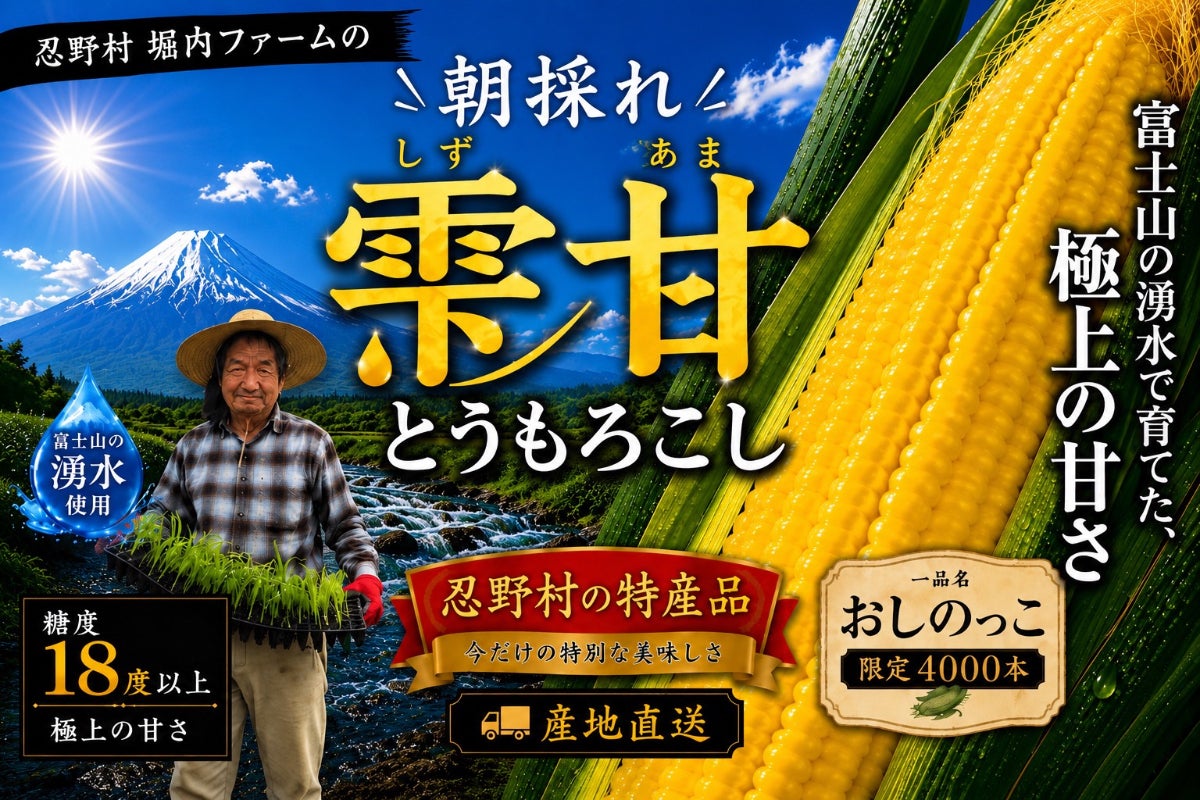 富士山の麓で育った【雫甘とうもろこし】を全国に届けたい！！【村限定