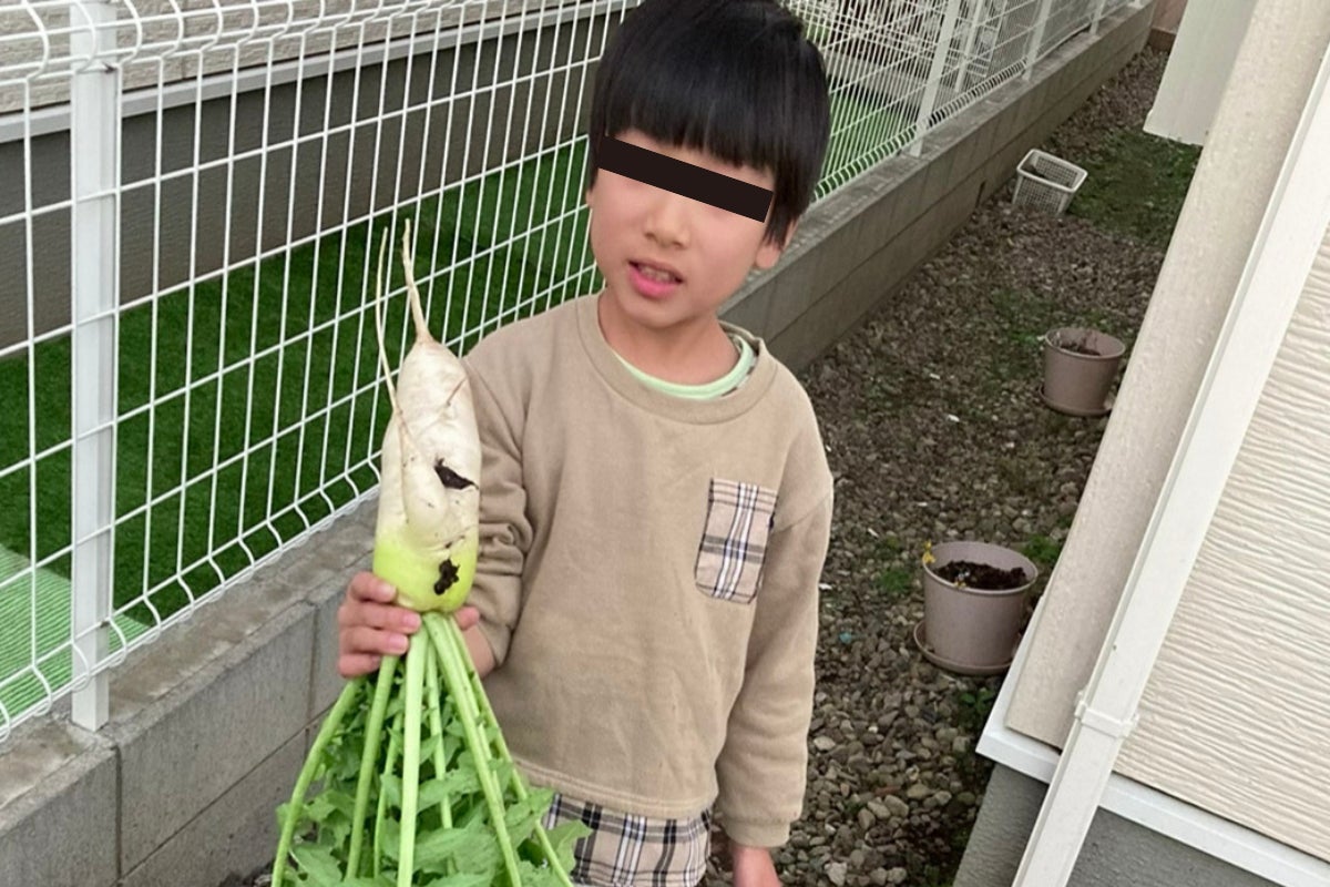 2番目のメイン画像