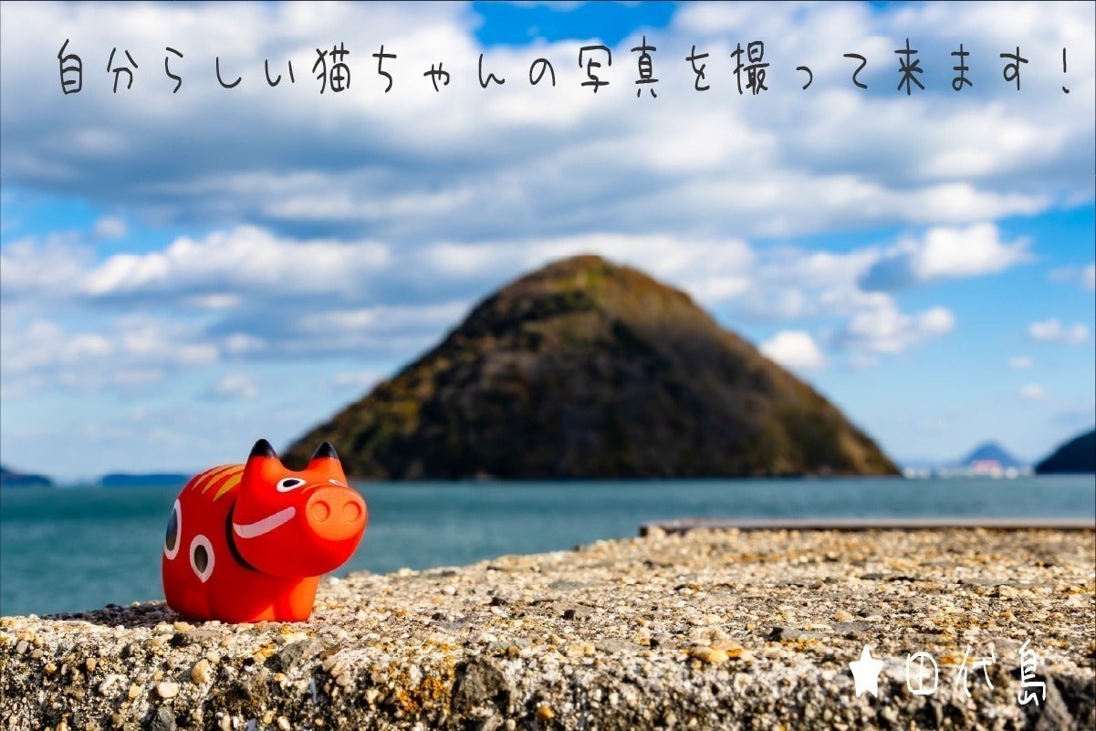 5番目のメイン画像