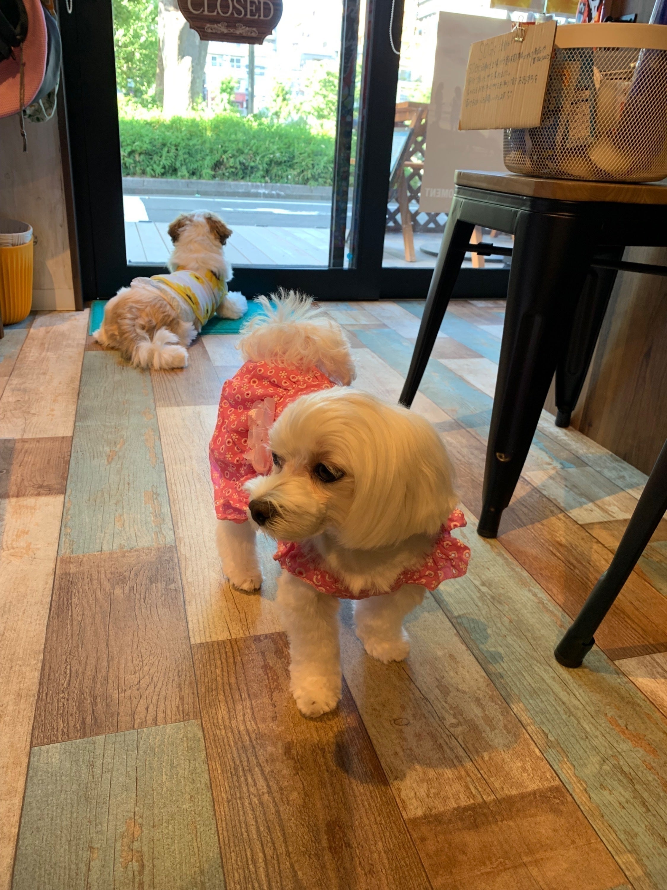 3番目のメイン画像