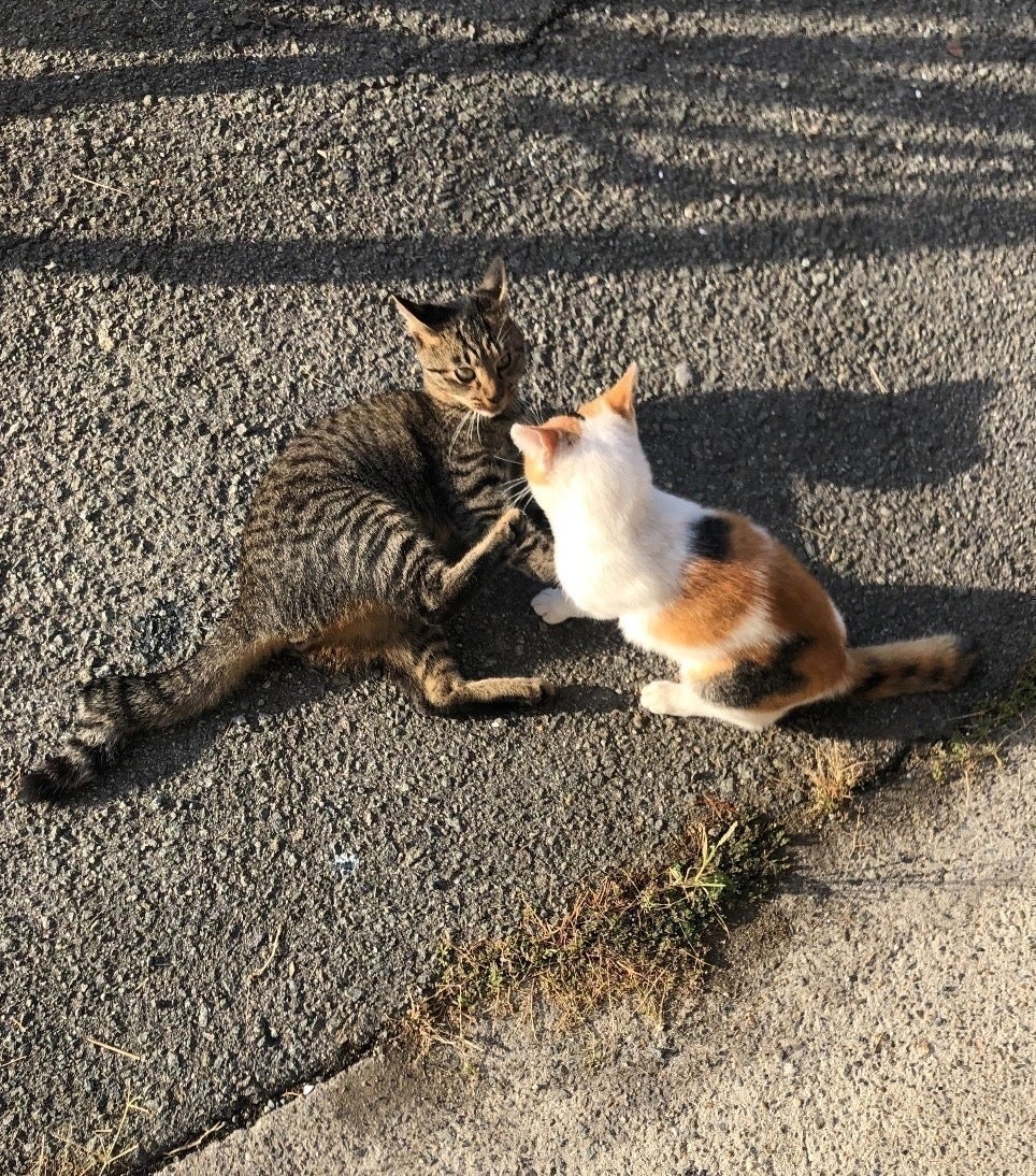 2番目のメイン画像