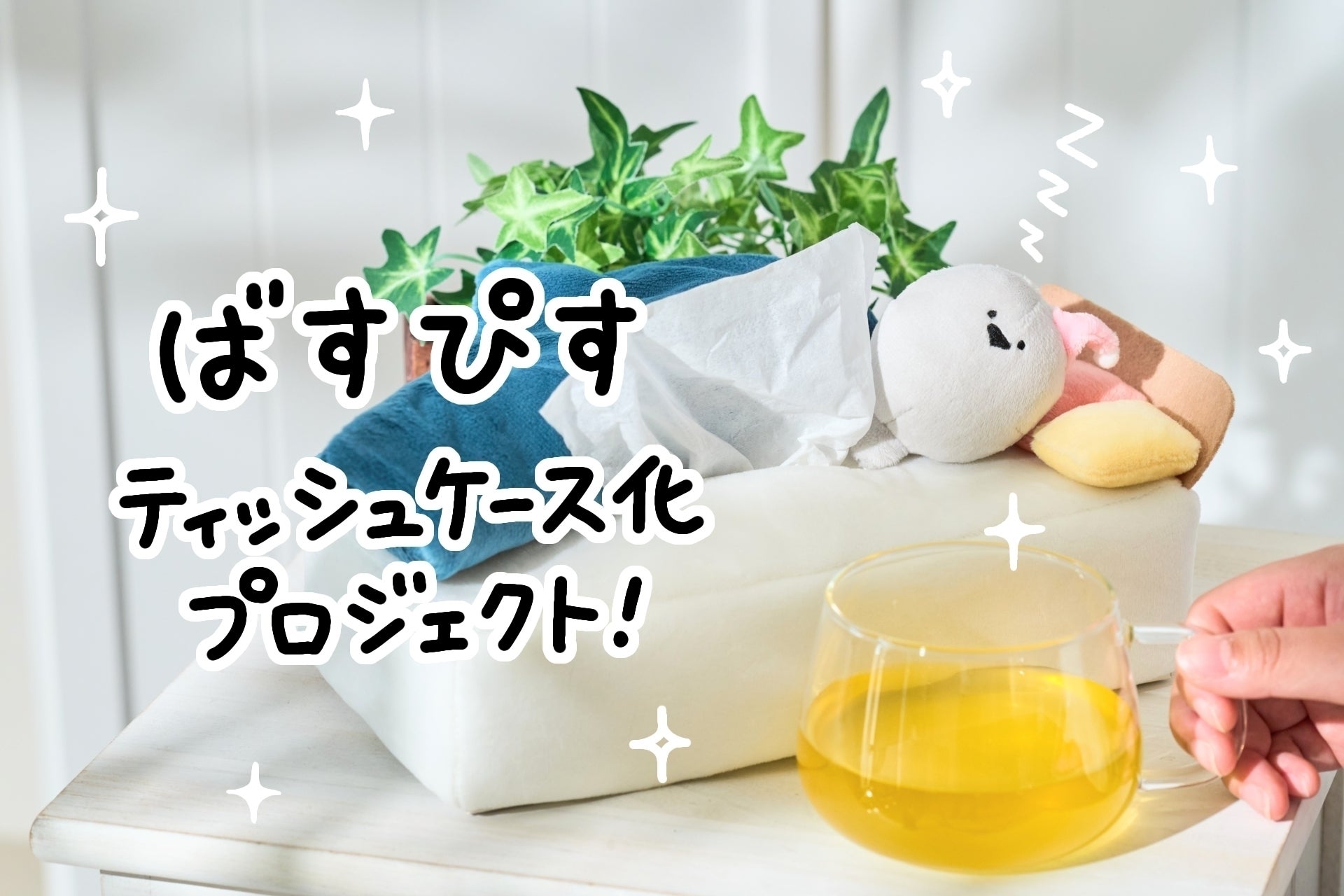 おふとんですやすや♪ばすぴすティッシュケース化プロジェクト