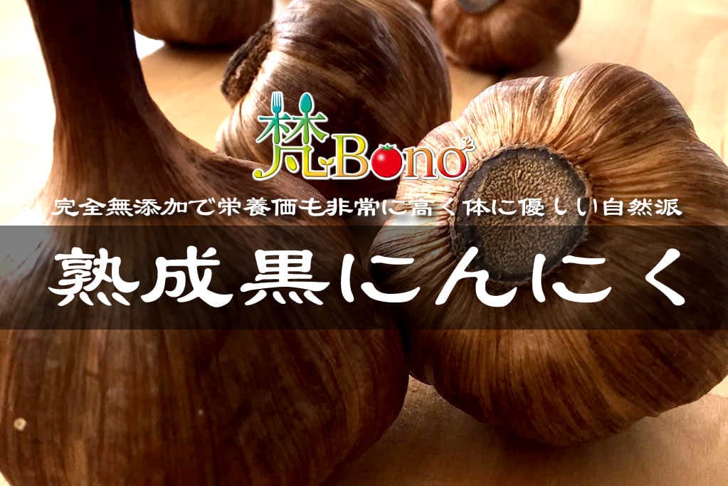 ｍａｄｅ ｉｎ ｈｉｍｅｊｉの熟成黒にんにくをもっと広めたい ｂｙ姫路ぼんぼーの Campfire キャンプファイヤー