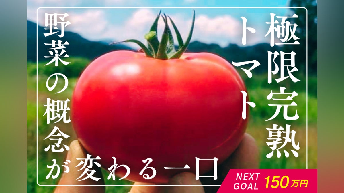 3つの極限で作り出す「極限完熟トマト」を全国に広めたい! - CAMPFIRE 3つの極限で作り出す「極限完熟トマト」を全国に広めたい! - CAMPFIRE