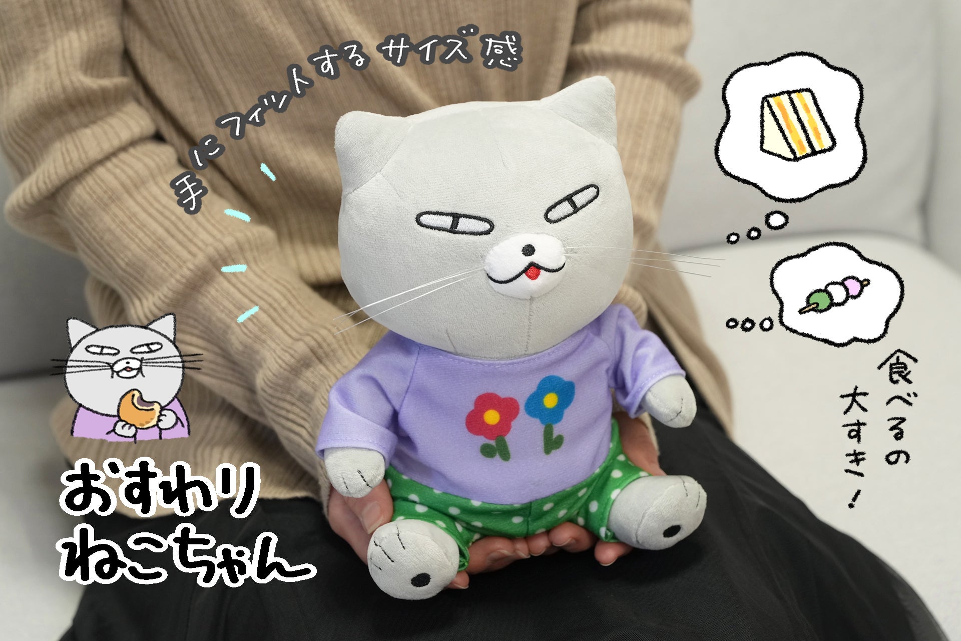 おめかしにんまり♪おいしい毎日をおさんぽ!ねこちゃんのぬいぐるみ化プロジェクト - CAMPFIRE (キャンプファイヤー)