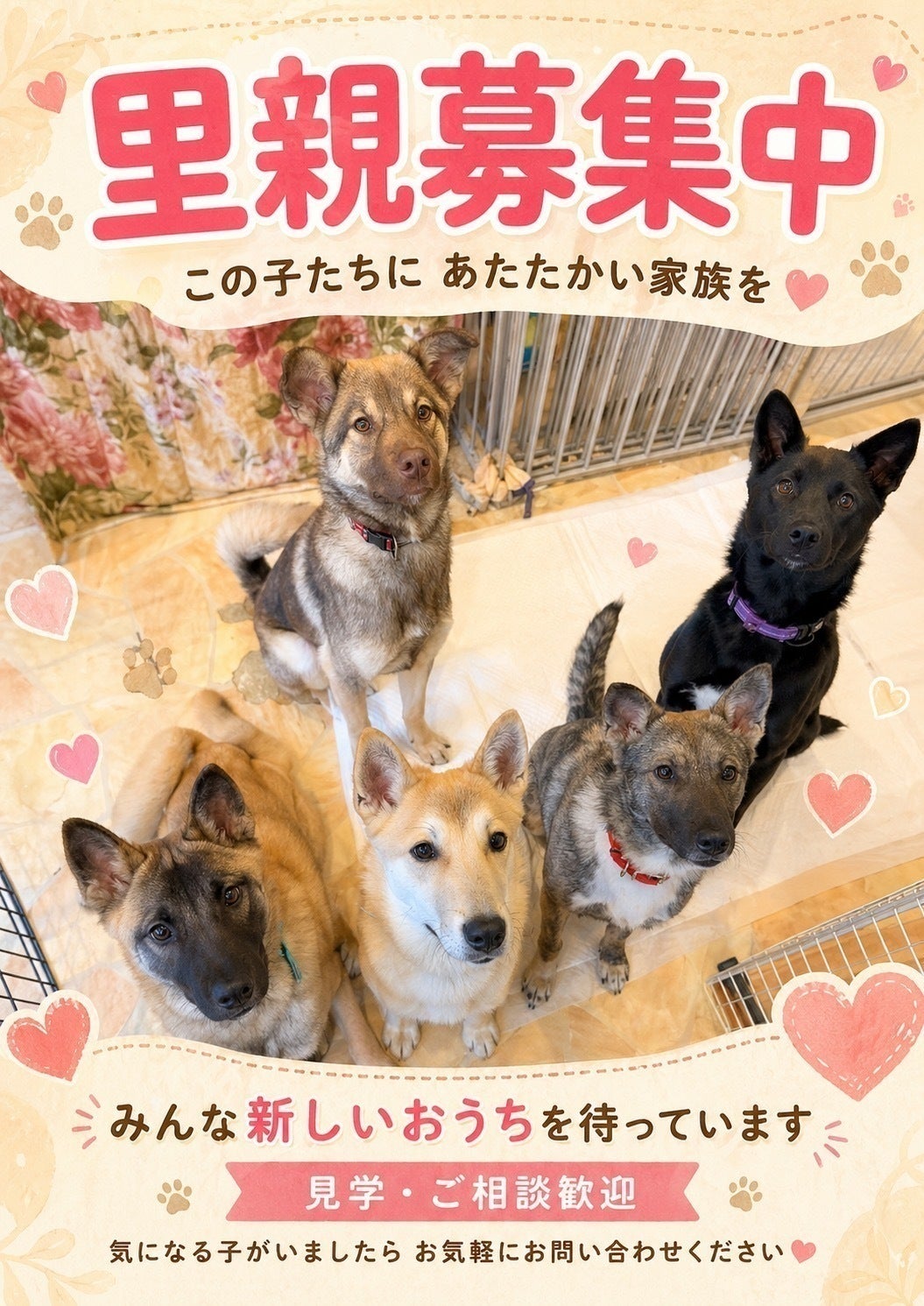 5番目のメイン画像