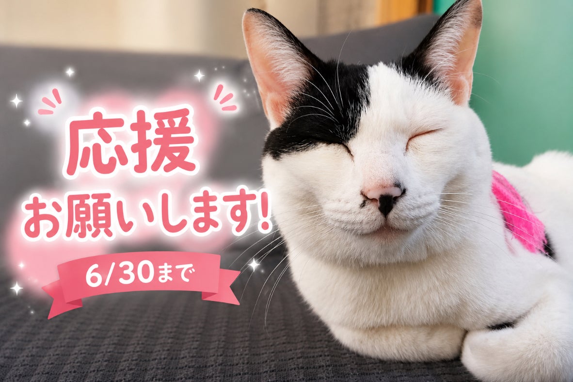ご支援ありがとうございます】 - CAMPFIRE (キャンプファイヤー)