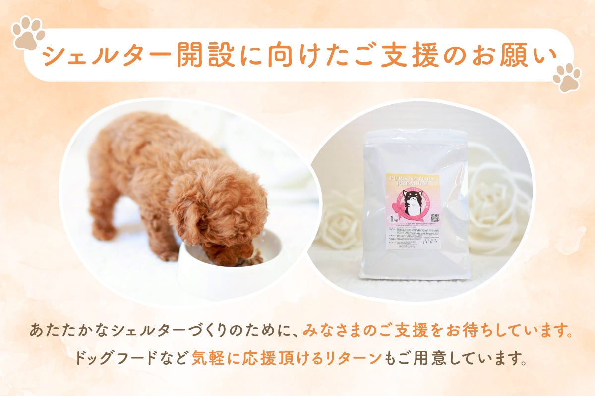 もう一度愛される未来へ】リトルスキップが挑むあたたかなドッグ