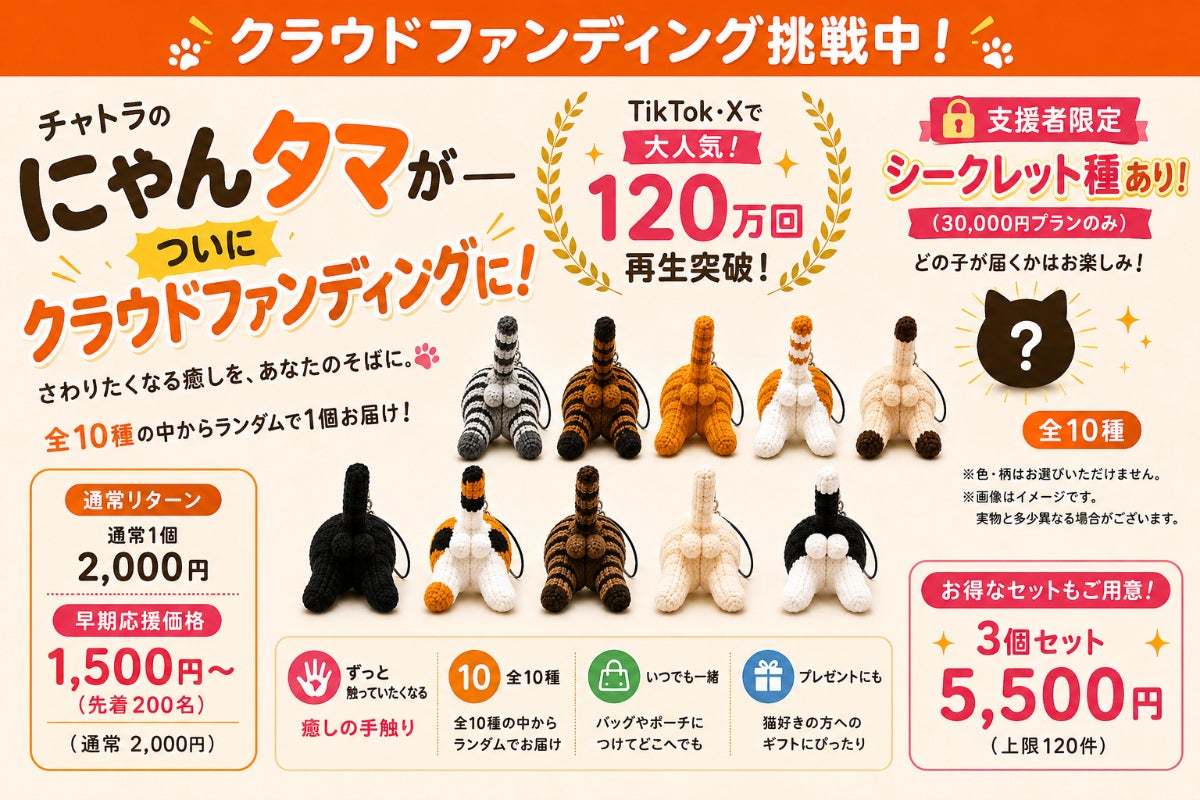 チャトラのにゃんタマ』を本気で商品化したい。猫好きのための癒し チャトラのにゃんタマ』を本気で商品化したい。猫好きのための癒し