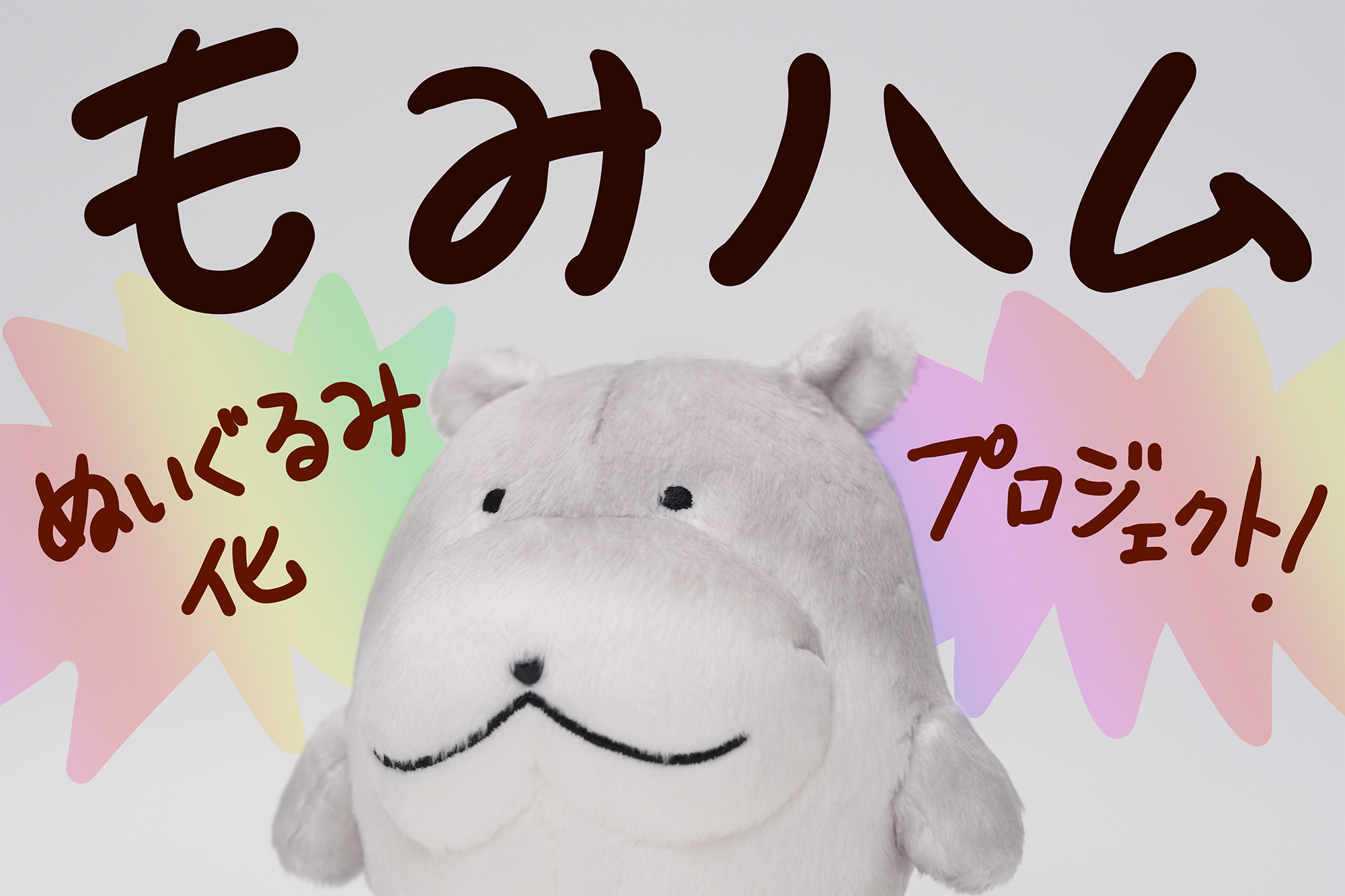 どこでも一緒♪もみハムぬいぐるみ化プロジェクト！ - CAMPFIRE 