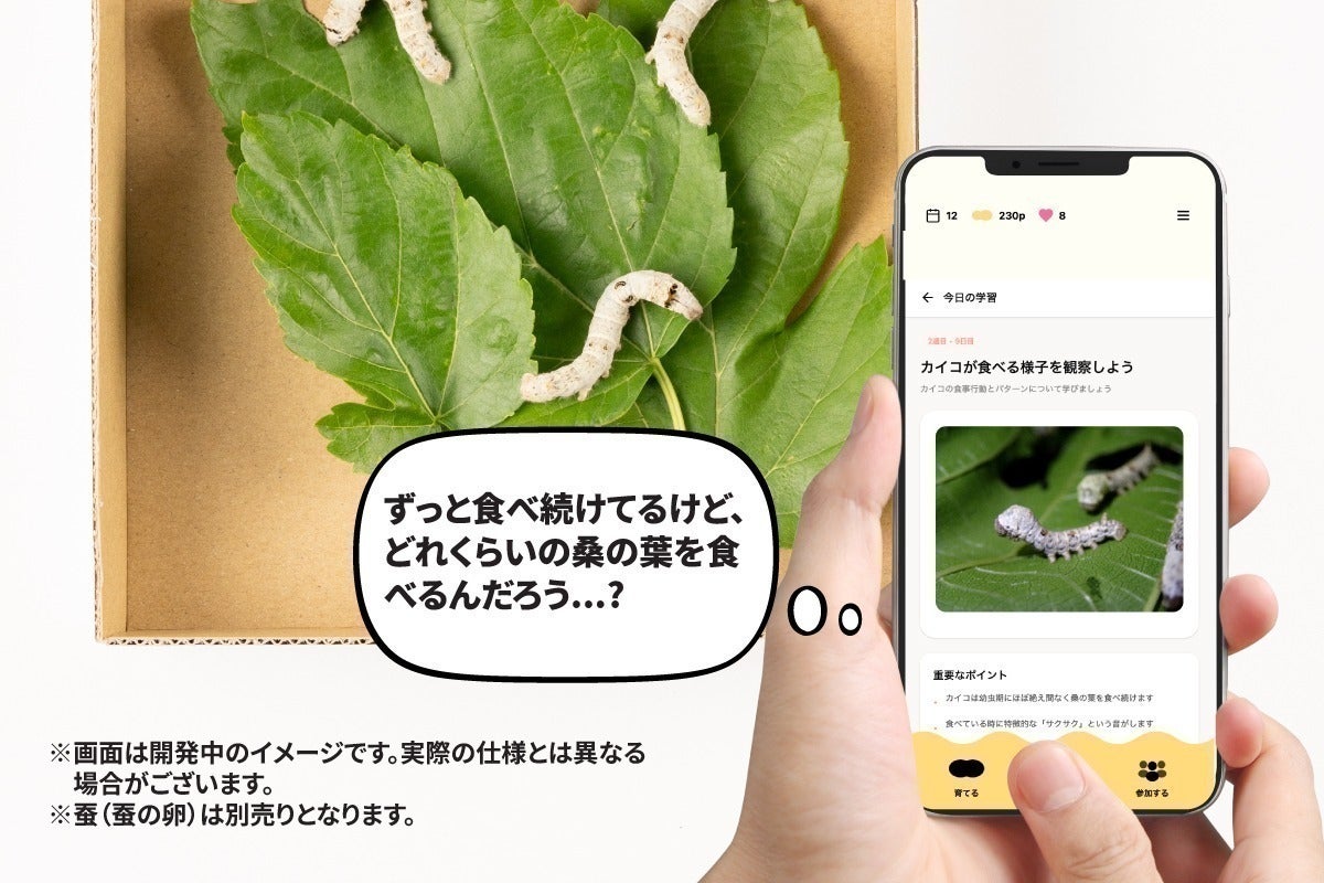 4番目のメイン画像