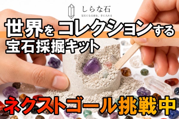 たったの3日で目標金額の130%超え達成！ありがとうございます