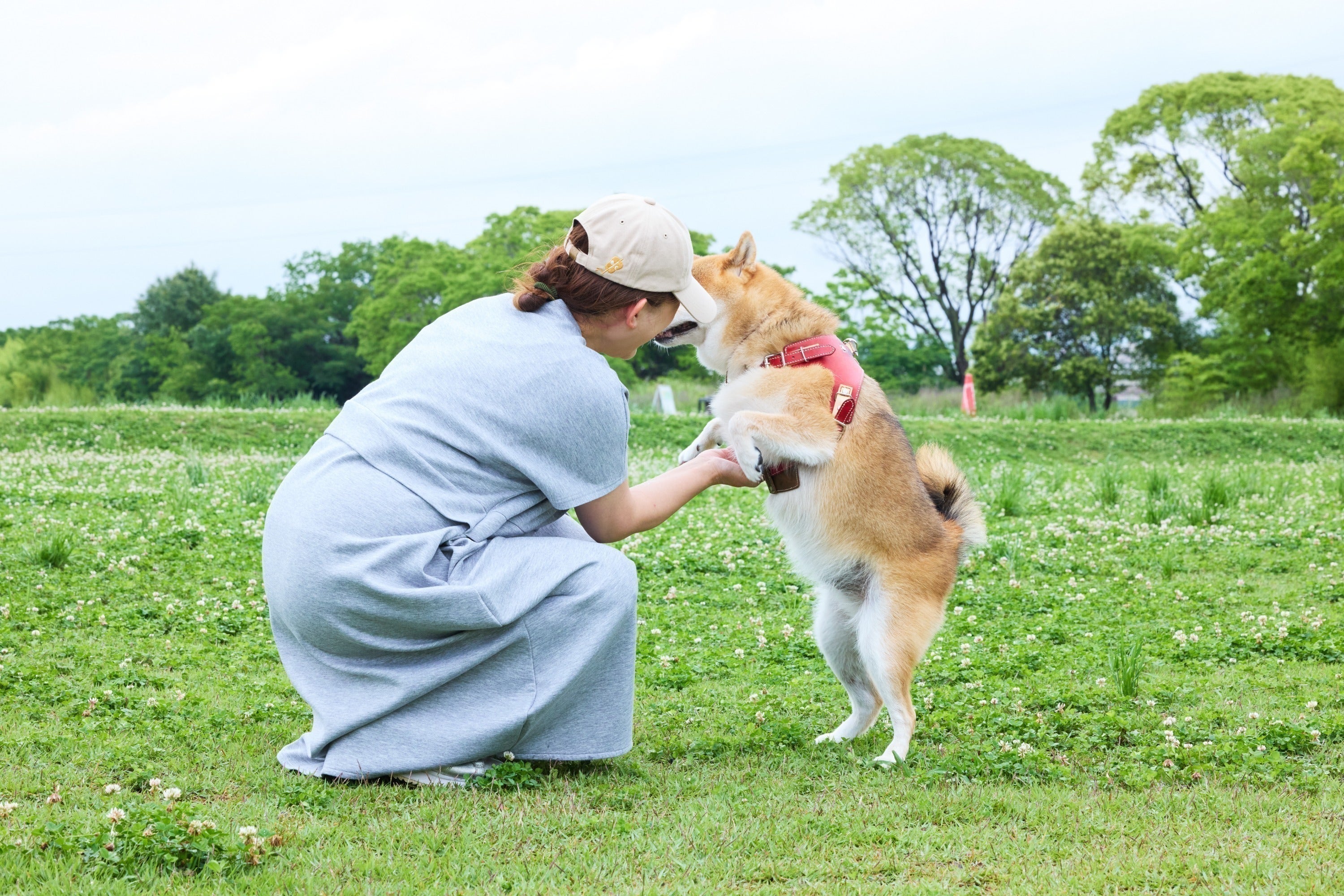 4番目のメイン画像
