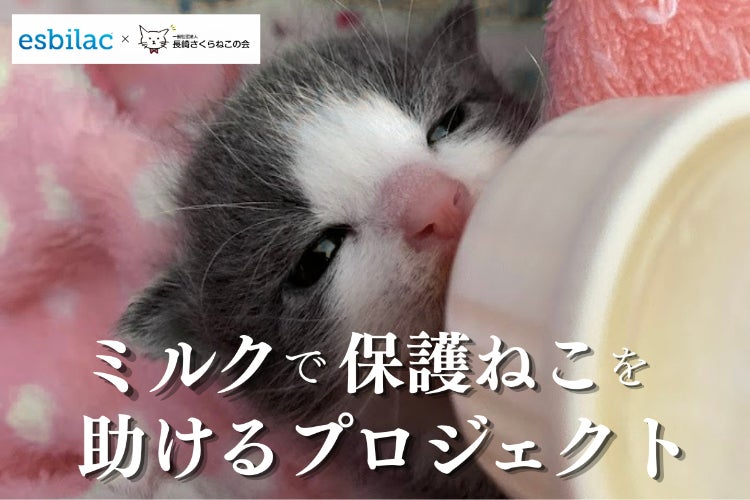 保護猫にミルクを届けたい「第3回みずいろりぼんプロジェクト 保護猫にミルクを届けたい「第3回みずいろりぼんプロジェクト