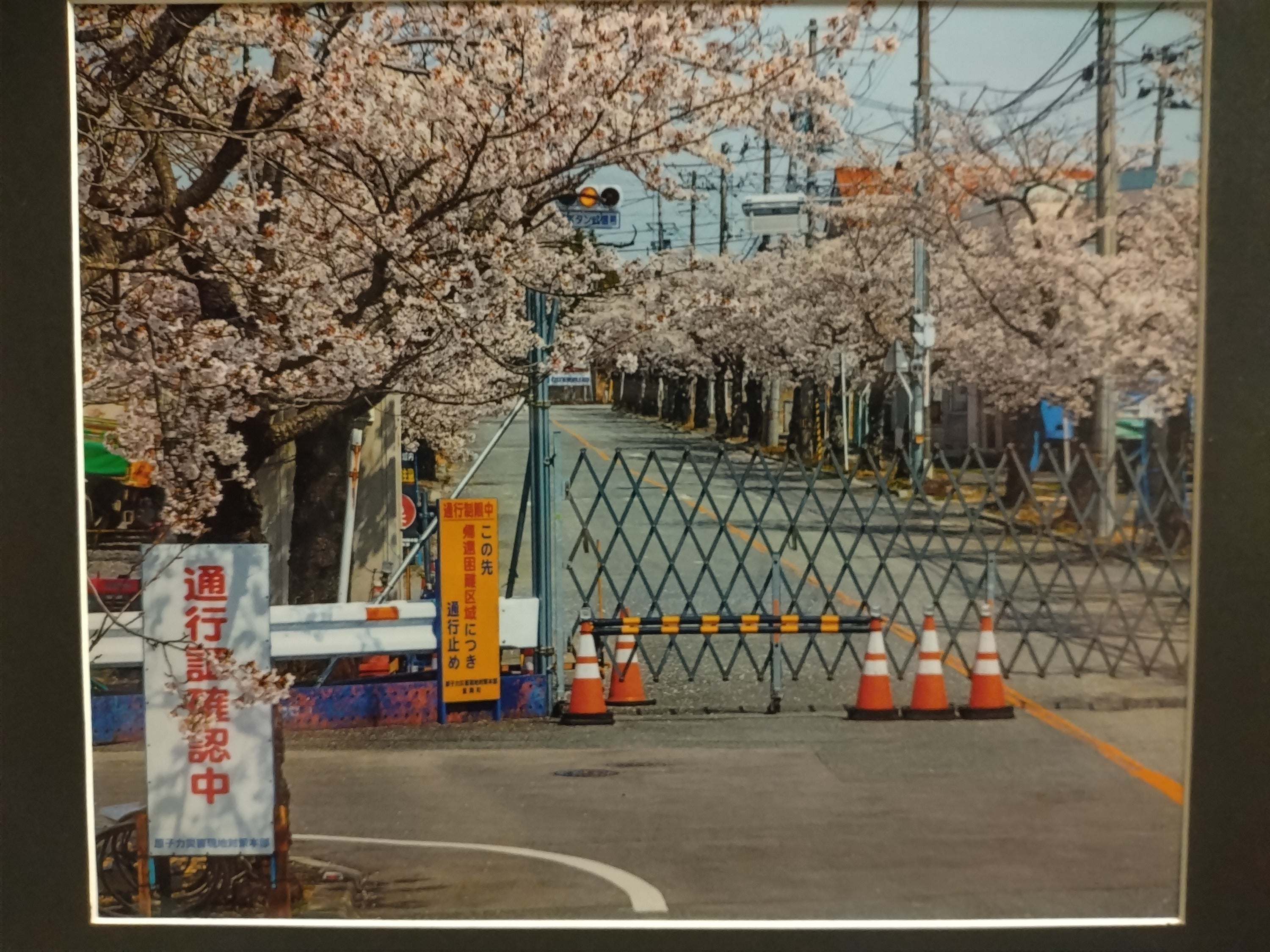 難病患者による震災に負けない復興の姿を47都道府県へ伝える写真展