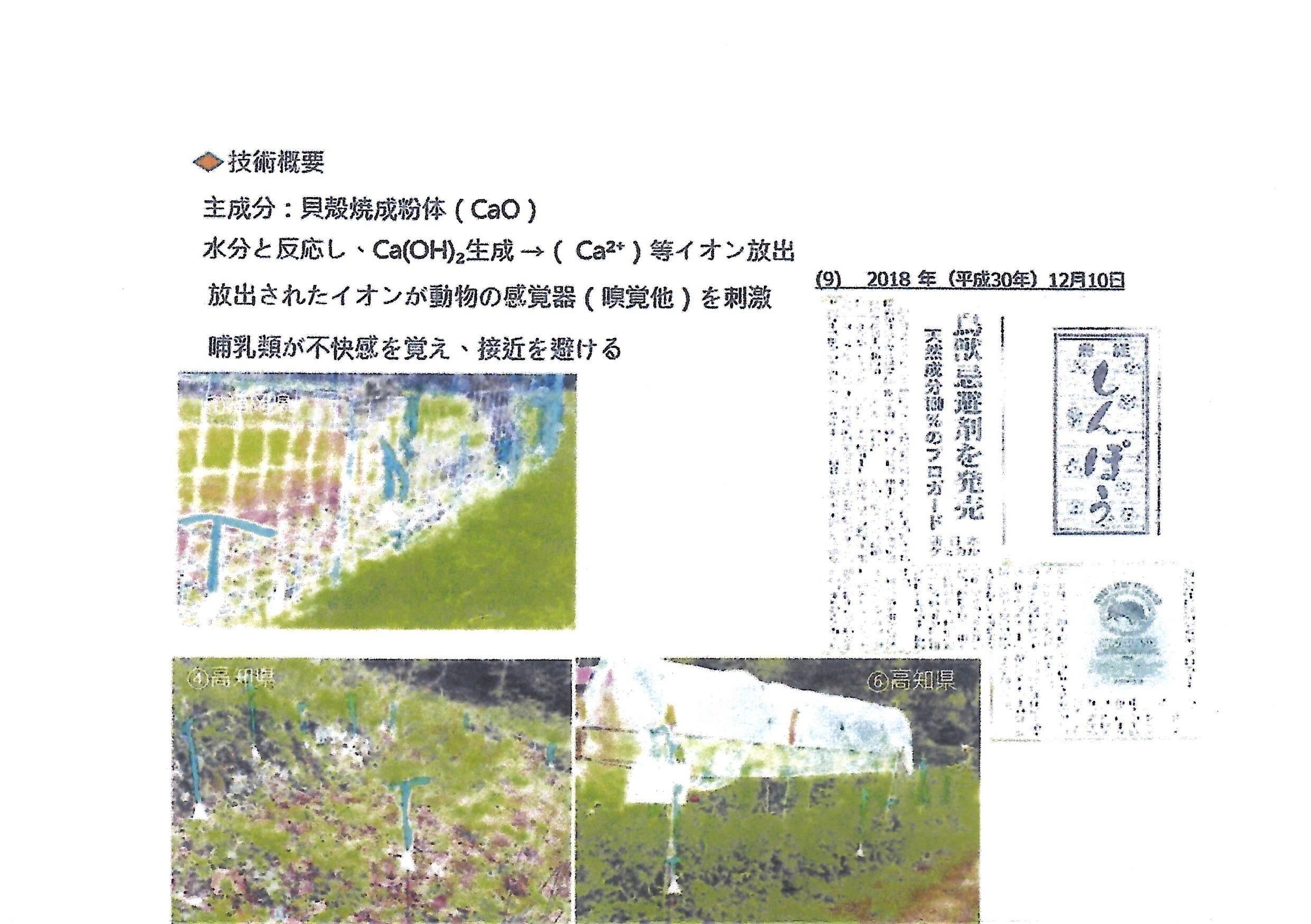 2番目のメイン画像