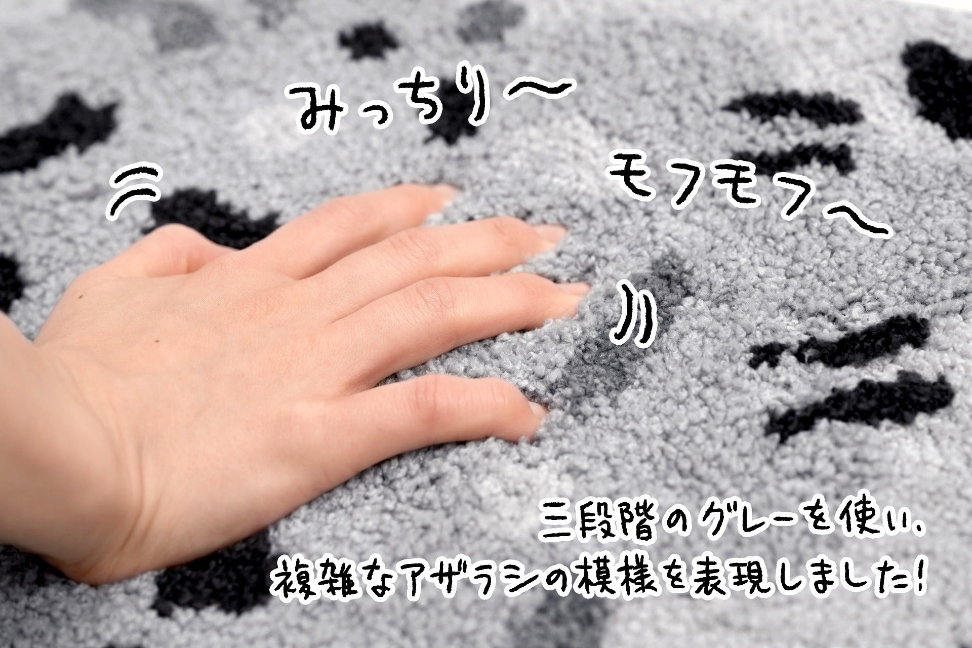 5番目のメイン画像