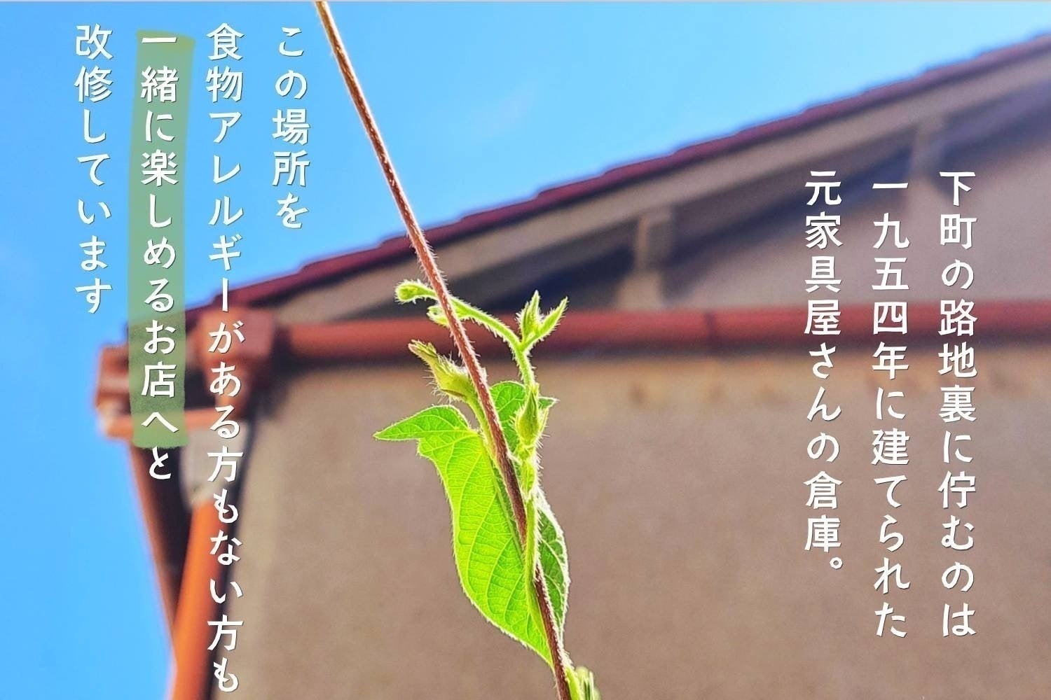 2番目のメイン画像