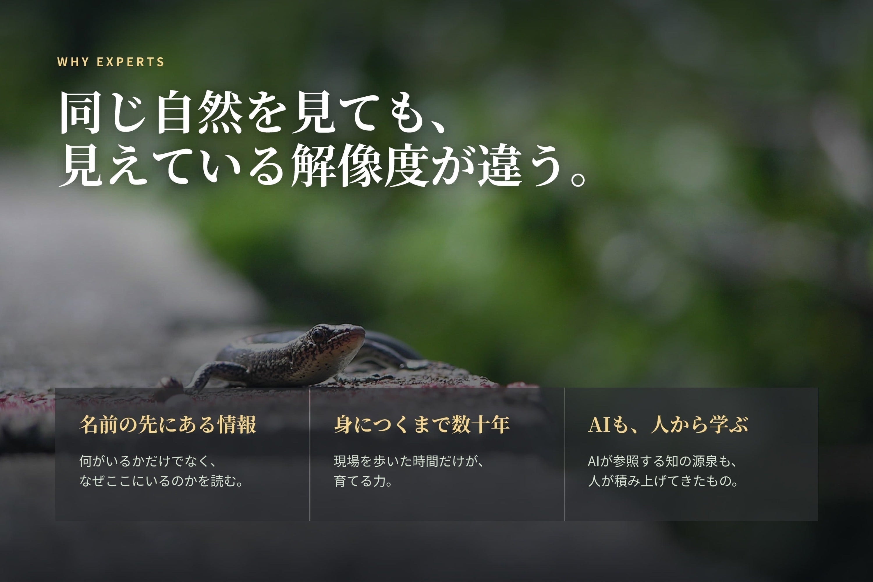 2番目のメイン画像