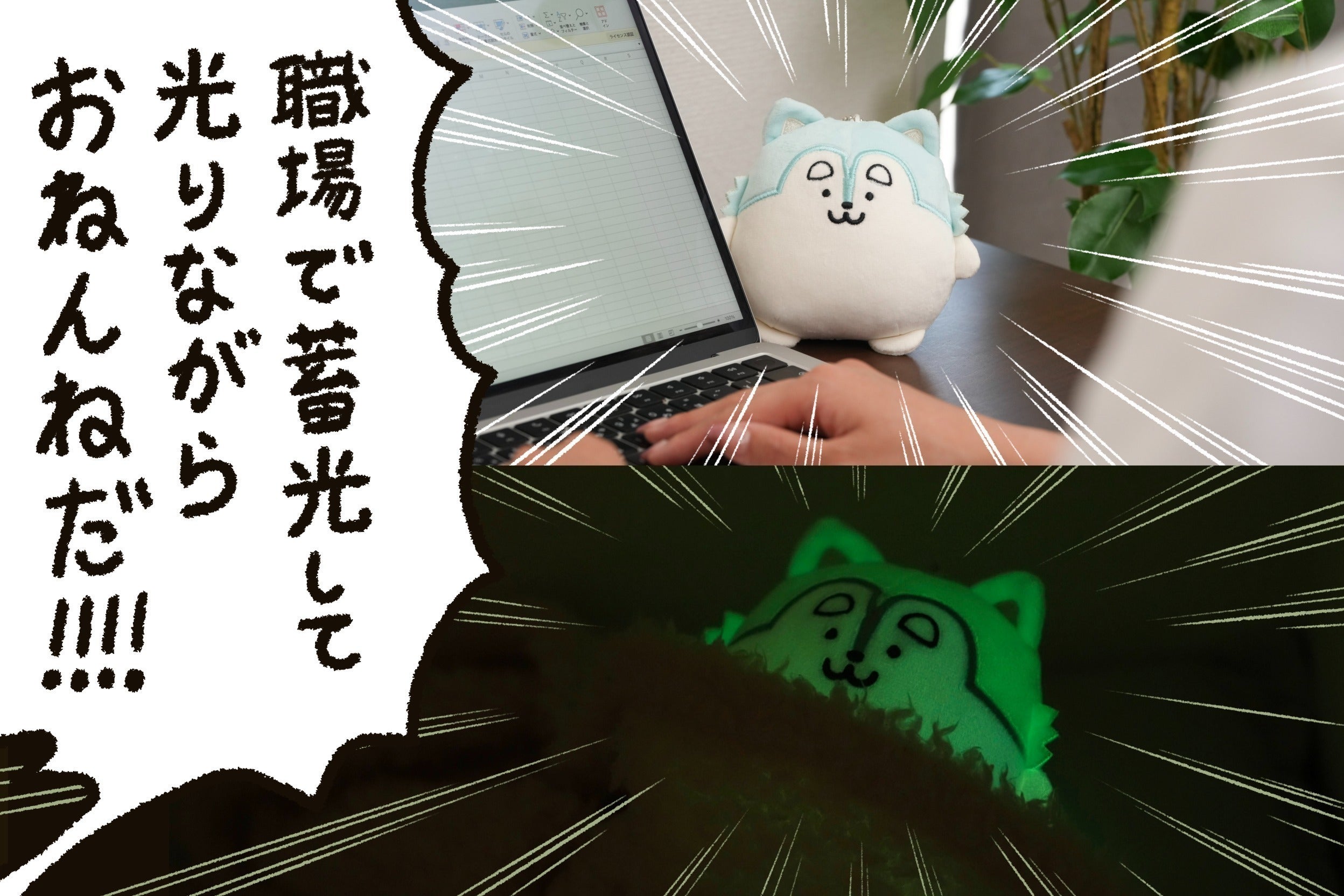 4番目のメイン画像