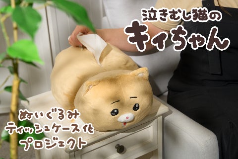 泣きむし猫のキィちゃんティッシュケース化プロジェクト！ - CAMPFIRE