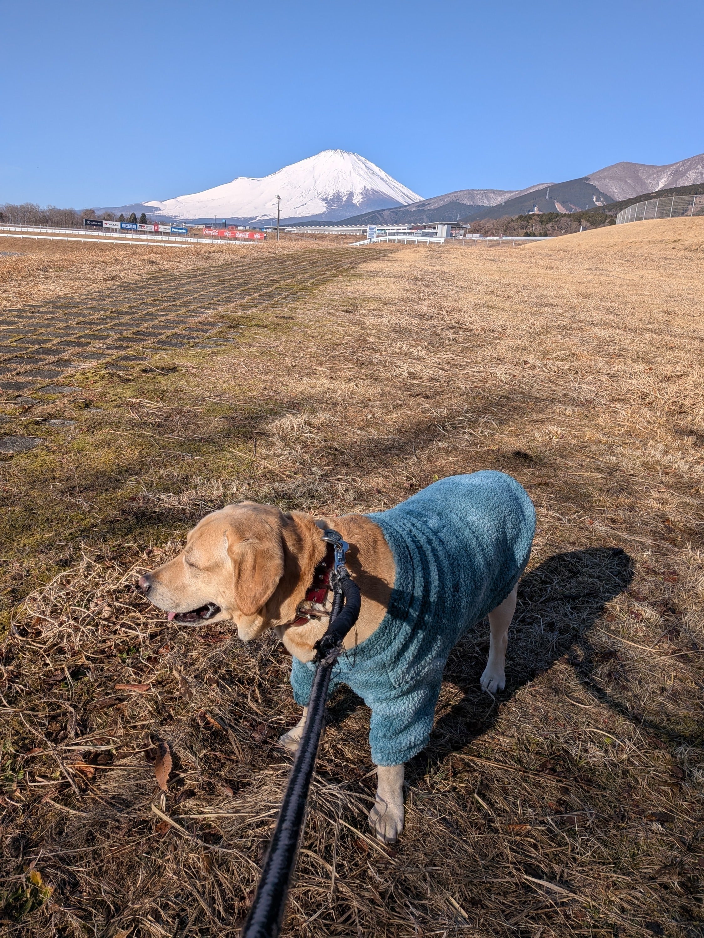 3番目のメイン画像