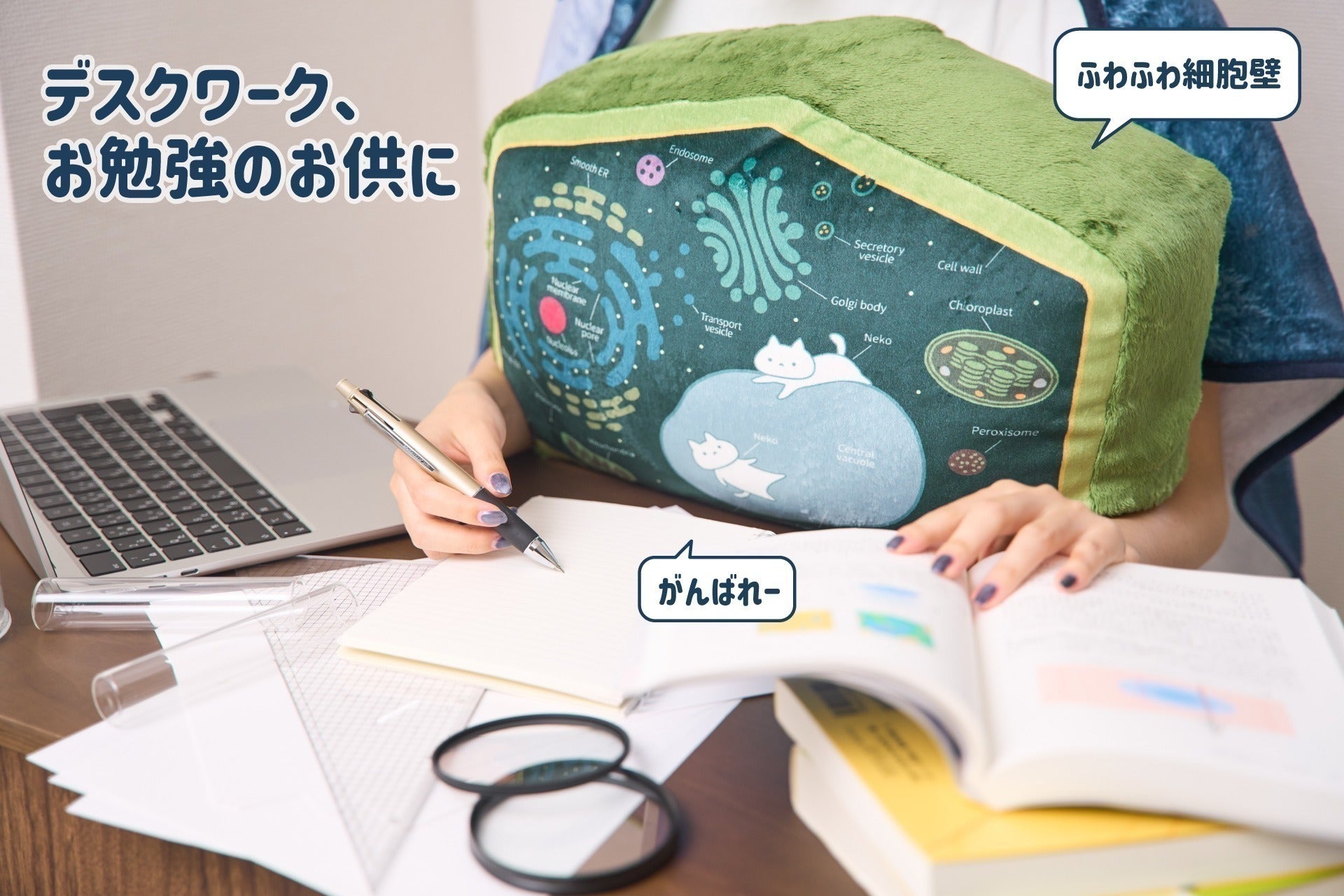 5番目のメイン画像
