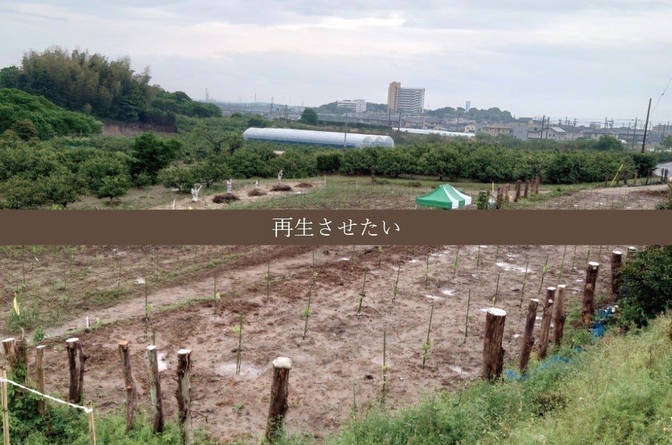 3番目のメイン画像