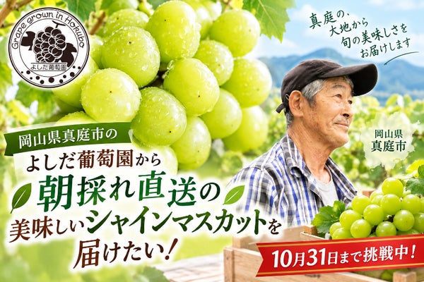 岡山県真庭市のよしだ葡萄園から朝採れ直送の美味しいシャインマスカットを届けたい!
