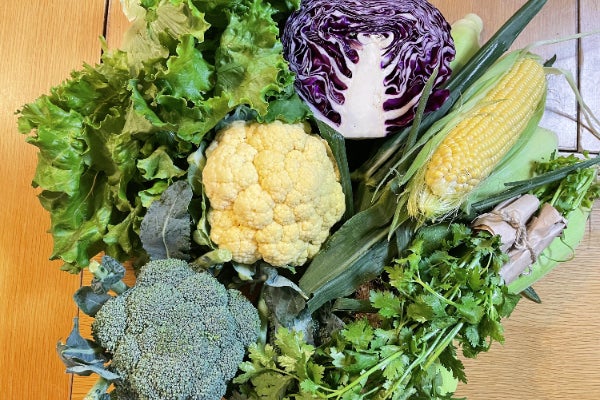 地元野菜で、学生も高齢者も母親も笑顔に。