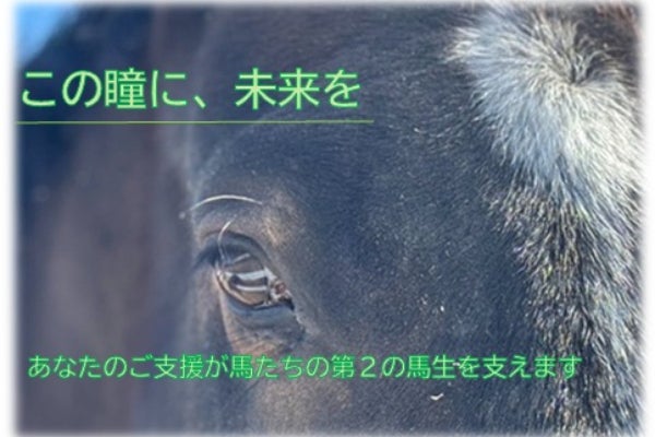 岡山県吉備中央町】引退競走馬に新たな未来を！リトレーニング支援