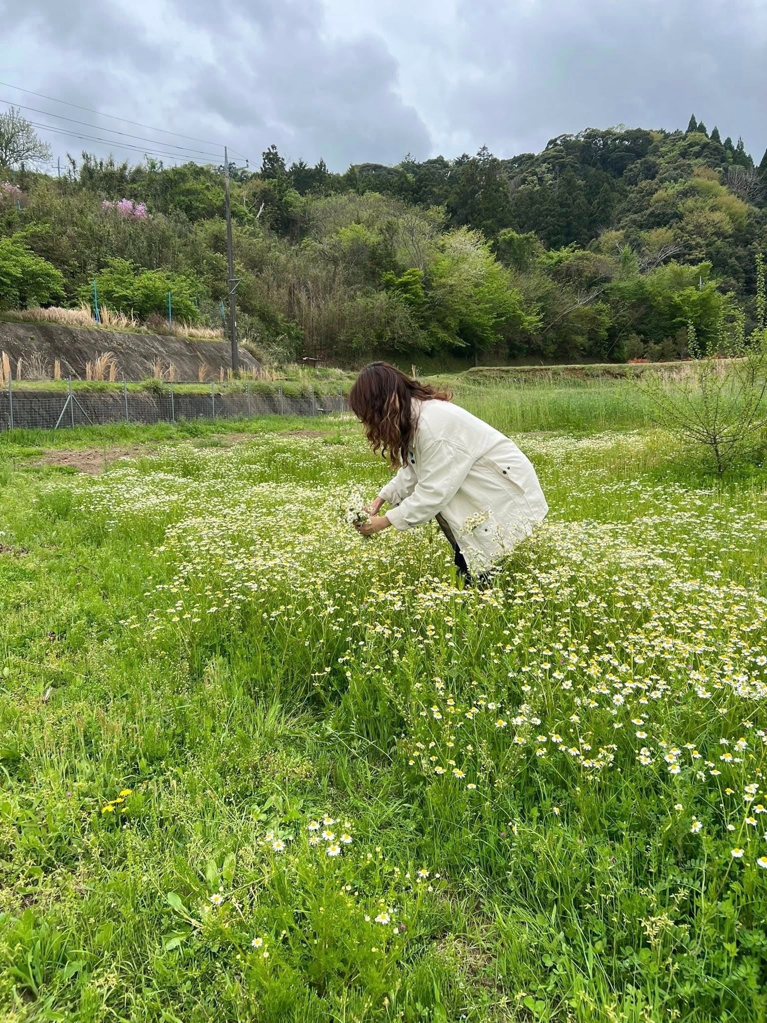 5番目のメイン画像