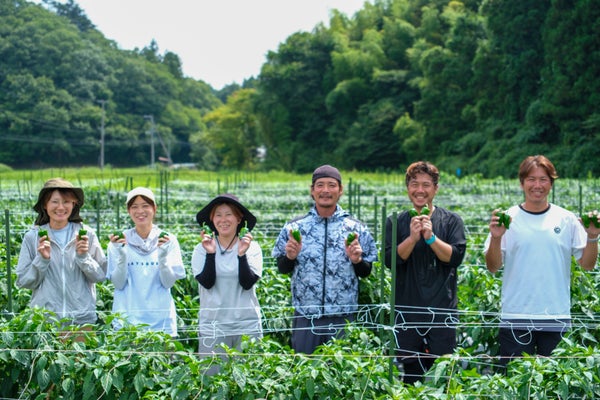 故郷を守る。808FARMのピーマンで地域に活気を取り戻したい。