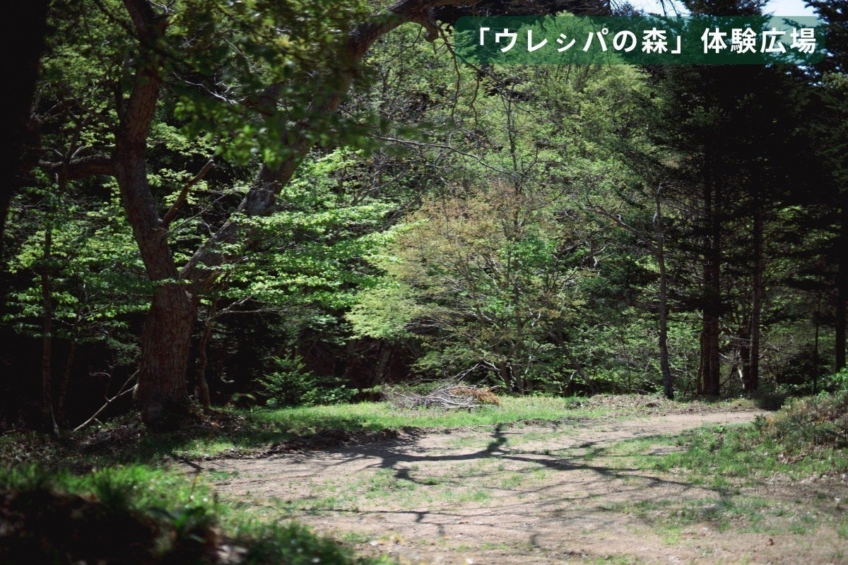 3番目のメイン画像