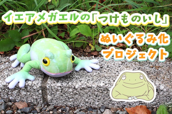 イエアメガエルの「つけものいし」ぬいぐるみ化プロジェクト