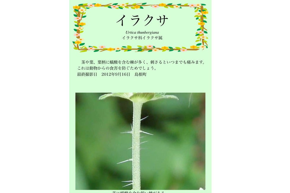 4番目のメイン画像