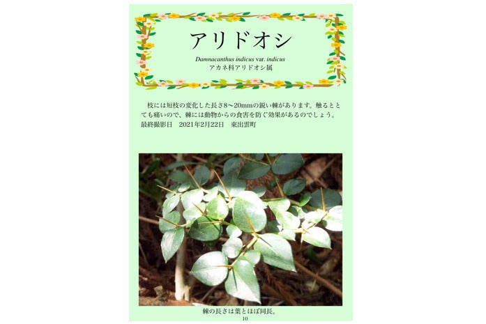 3番目のメイン画像