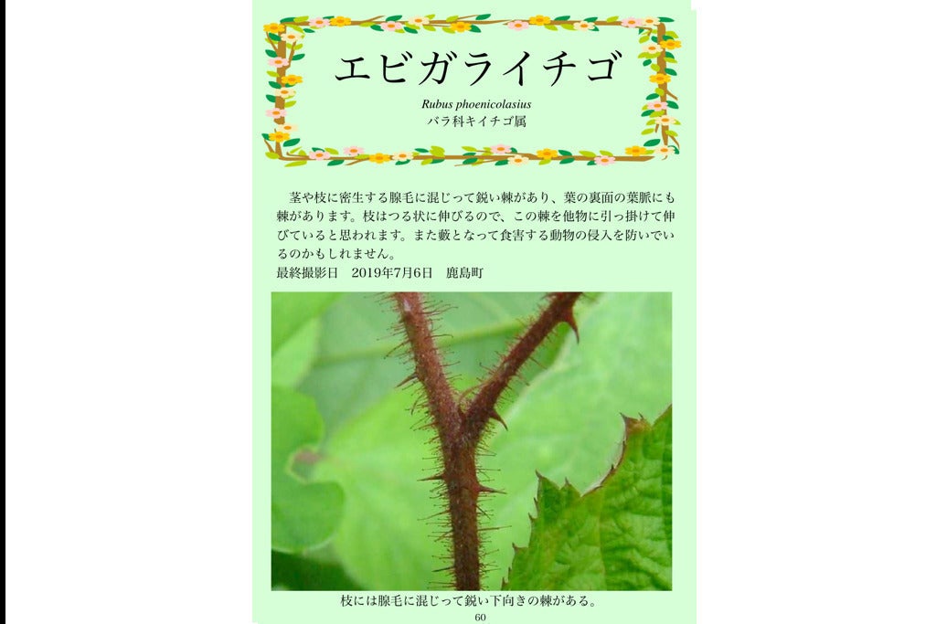 5番目のメイン画像