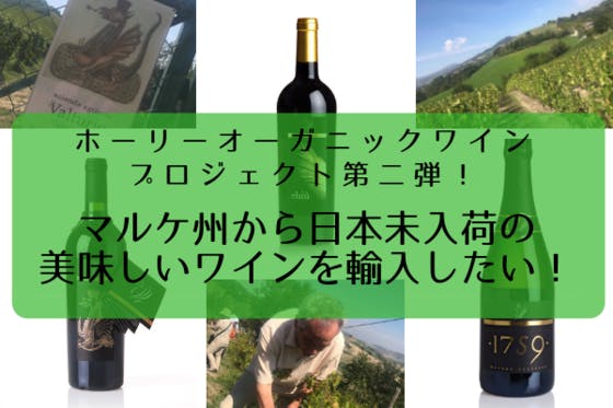 (キャンプファイヤー)　イタリア」マルケ州から日本未入荷の美味しいワインを輸入したい！　CAMPFIRE