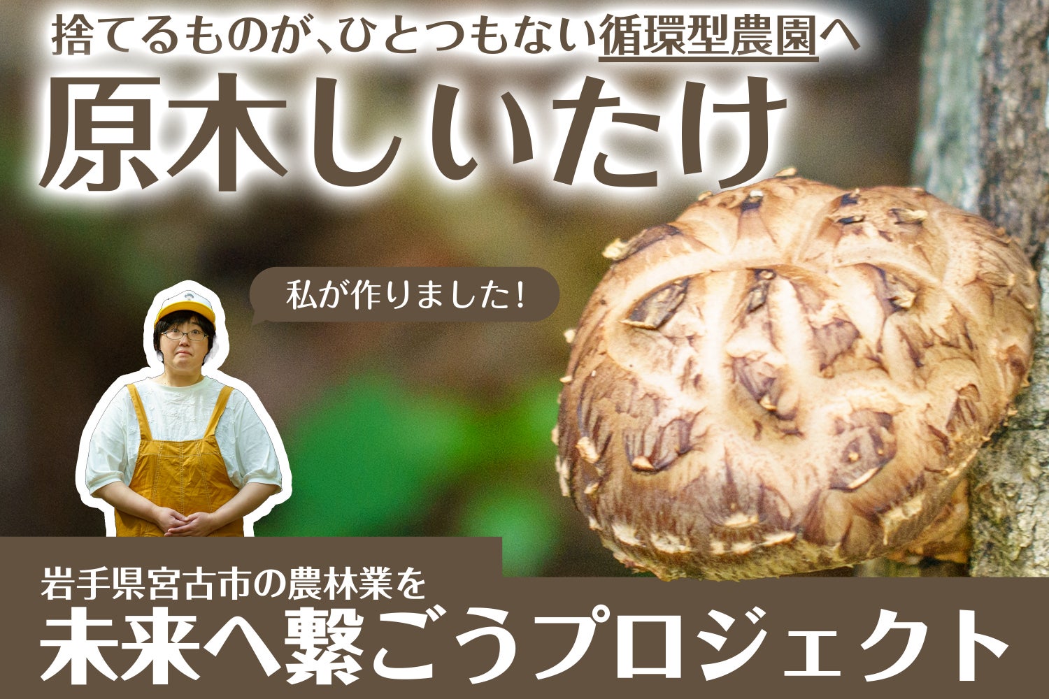 岩手県産 天然キノコ5種セット 合計約880gクール便着払い 人口約4万・岩手宮古の原木しいたけを世界へ。原木椎茸を未来へつなぐ