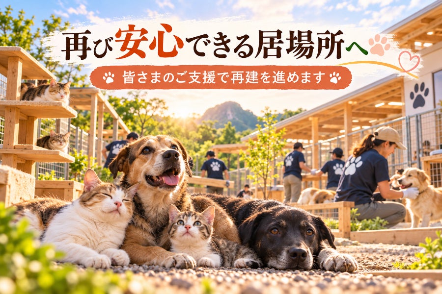 支援者一覧 - 火災で失った保護犬猫の居場所をもう一度 - CAMPFIRE