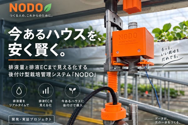 NODO