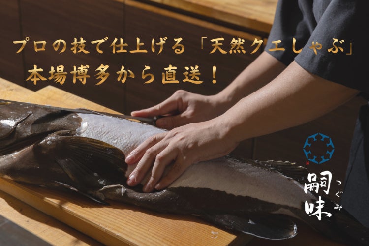 【食卓で新体験】プロの技で仕上げる天然クエしゃぶ、本場博多から直送！