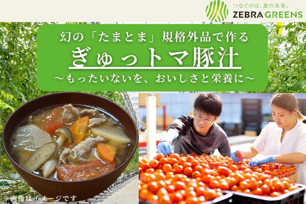 幻のトマト「たまとま」を和食に!うま味と栄養凝縮「ぎゅっトマ豚汁」で健康革命!