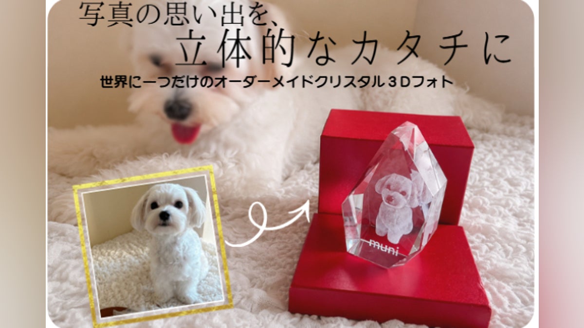 【世界にひとつ】大切な写真を3Dクリスタルに彫刻。思い出を「立体」で贈るギフト