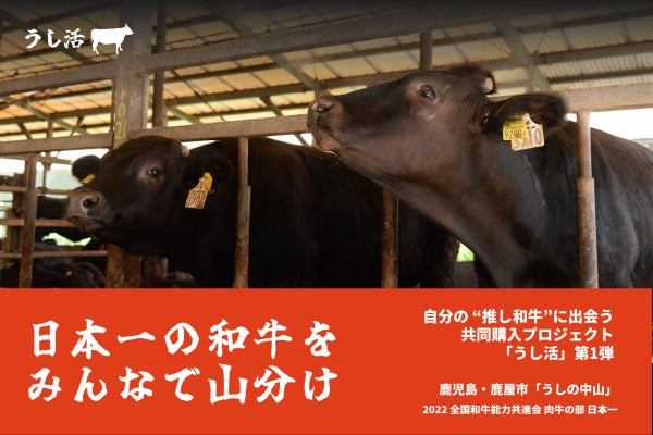 日本一の和牛を、みんなで山分け。自分の"推し和牛"に出会う「うし活」始動
