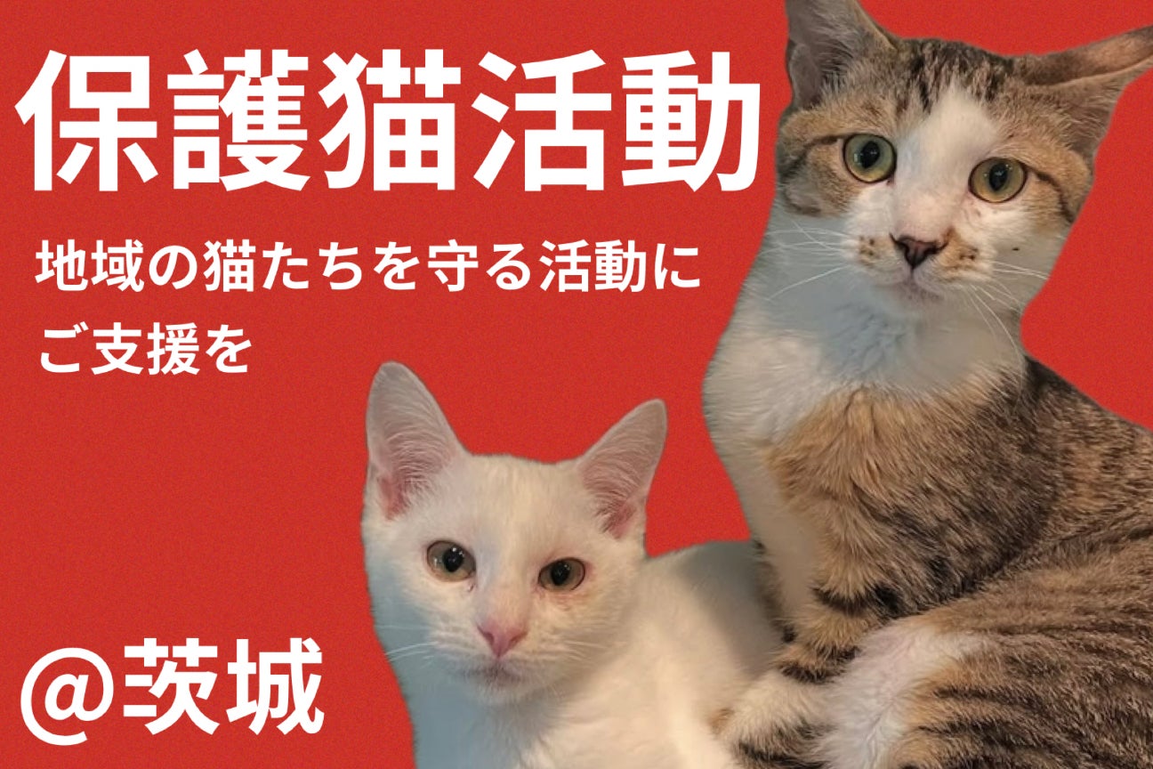 保護猫の医療費とTNRを続けたい。地域の猫たちを守る活動にご支援を